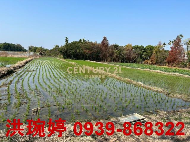 草屯農地-3