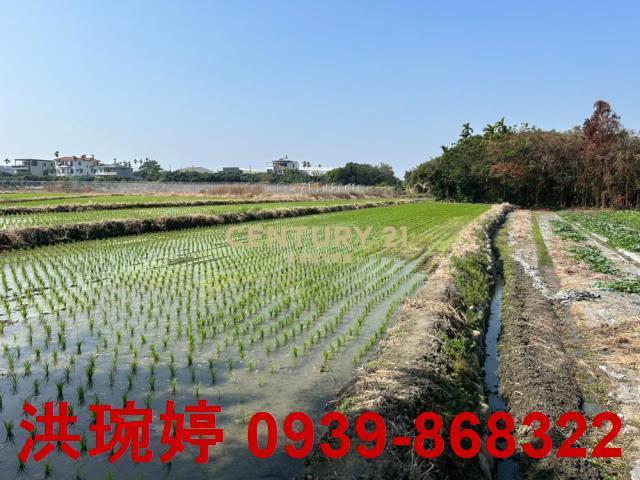 草屯農地-4