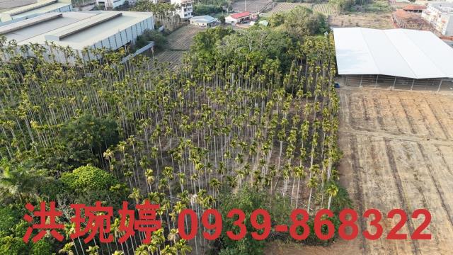 南投名間農地-6