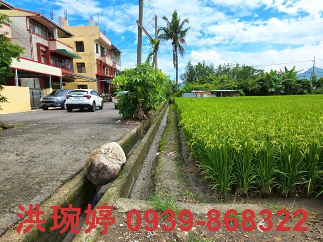 草屯農地-2
