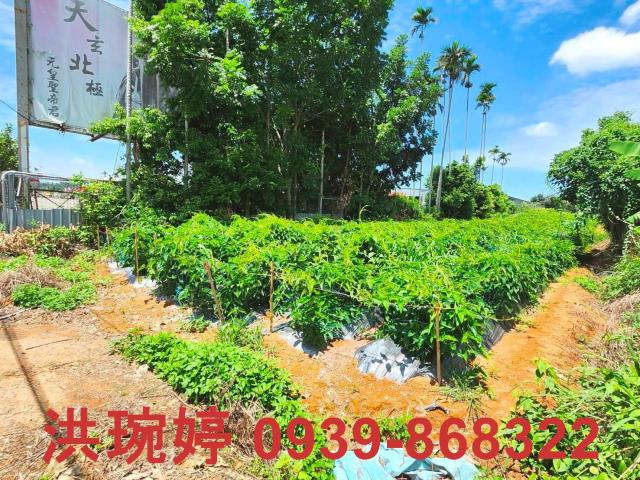 南投南投市農地-2