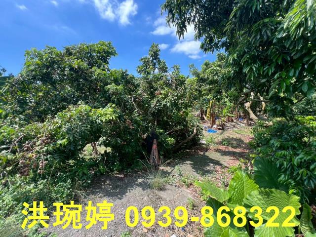 南投農地-6
