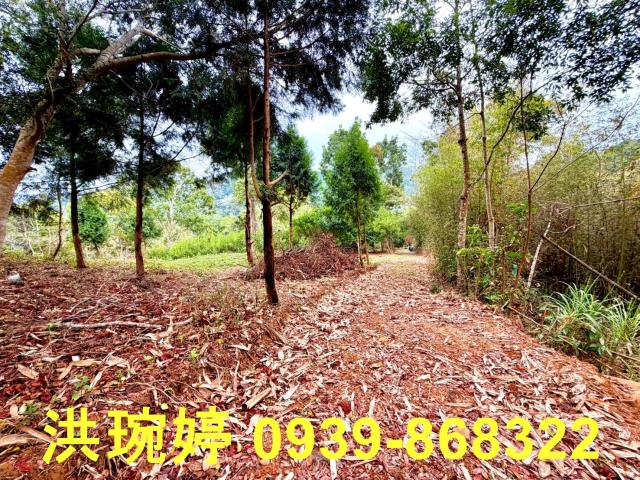 南投國姓農地-0