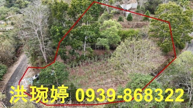 南投國姓農地-3