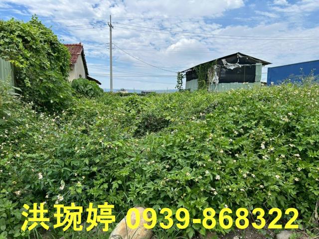 台中烏日建地-2