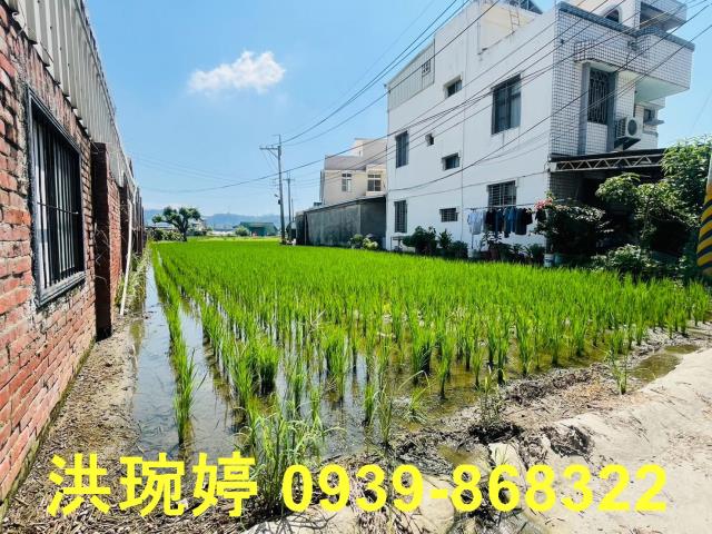 台中農地-5
