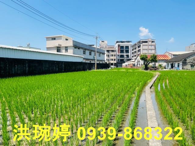 台中農地-6