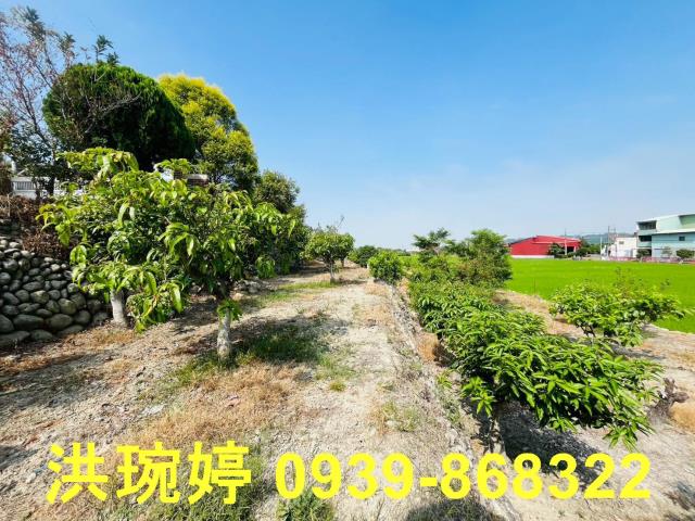 草屯農地-5